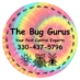 the bug gurus logo color